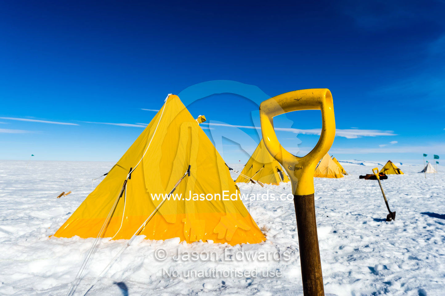 Bright yellow tents and a snow shovel lined-up on the Ross Ice Shelf during a survival training course. Windless Bight, Ross Ice Shelf, Ross Island, Antarctica.