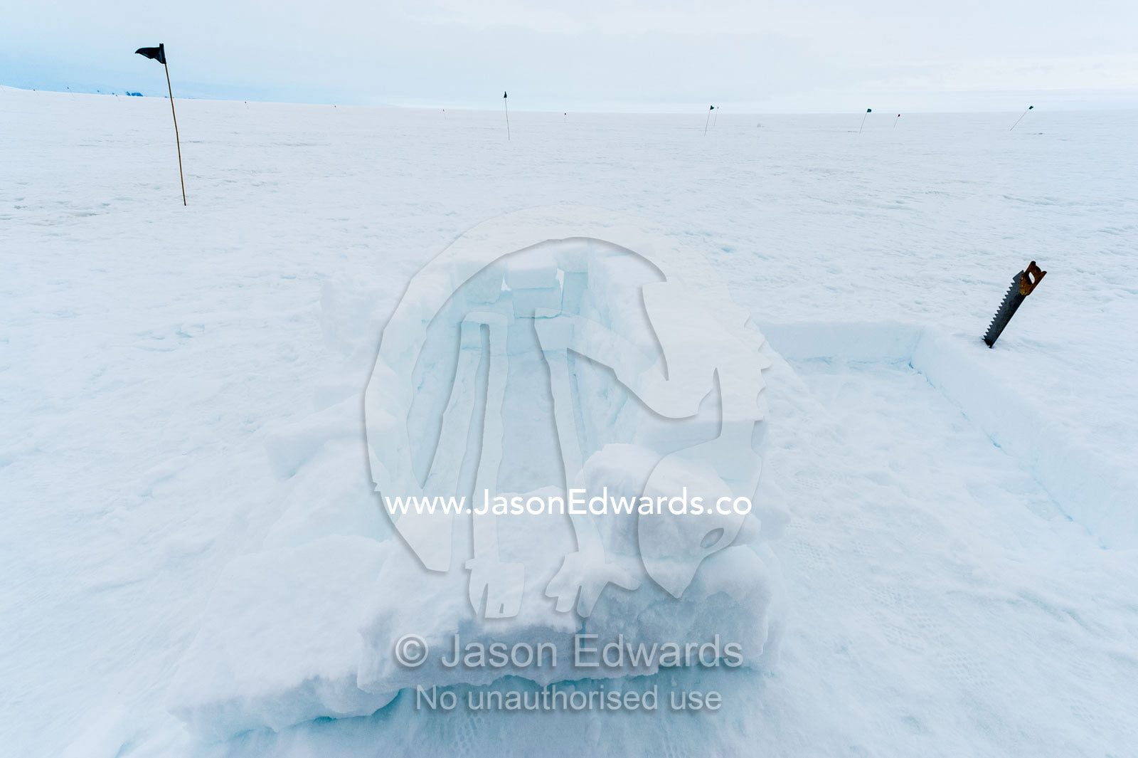 Sleeping pits in the sea ice carved from blocks of ice. Windless Bight, Ross Ice Shelf, Ross Island, Antarctica.