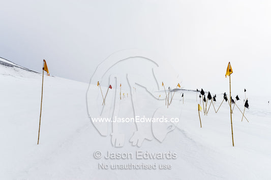 Crevasse warning flags mark a safe path for skidoos and Hagglund ice vehicles. Castle Rock Road, Hut Point Peninsula, Ross Island, Antarctica.