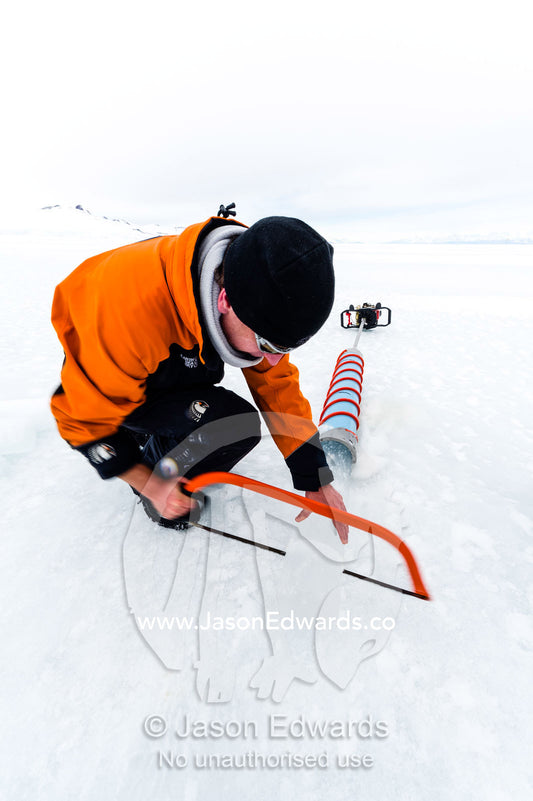 Researchers drill core samples from the sea ice and cut them with a saw to collect extremophiles from beneath the ice to study. Turtle Rock, Erebus Bay, McMurdo Sound, Ross Island, Antarctica.