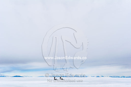On the vast sea ice researchers drill core samples to collect extremophiles from beneath the ice to study. Turtle Rock, Erebus Bay, McMurdo Sound, Ross Island, Antarctica.