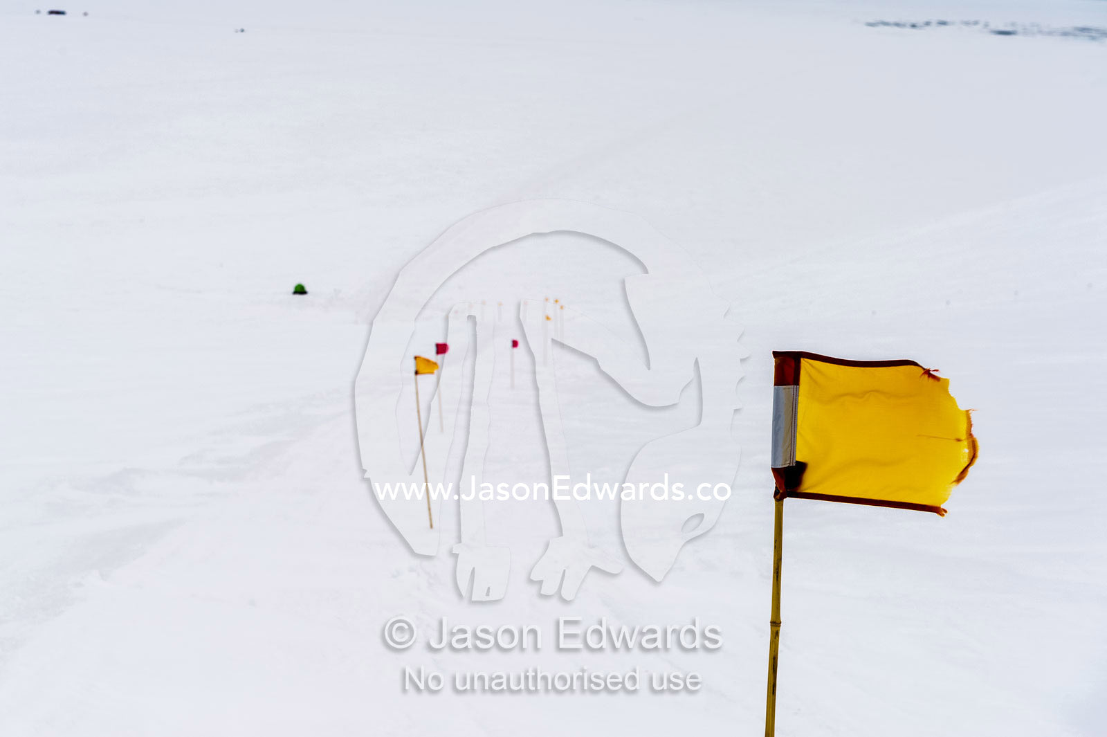 Crevasse warning flags mark a safe path for skidoos and Hagglund ice vehicles. Castle Rock Road, Hut Point Peninsula, Ross Island, Antarctica.