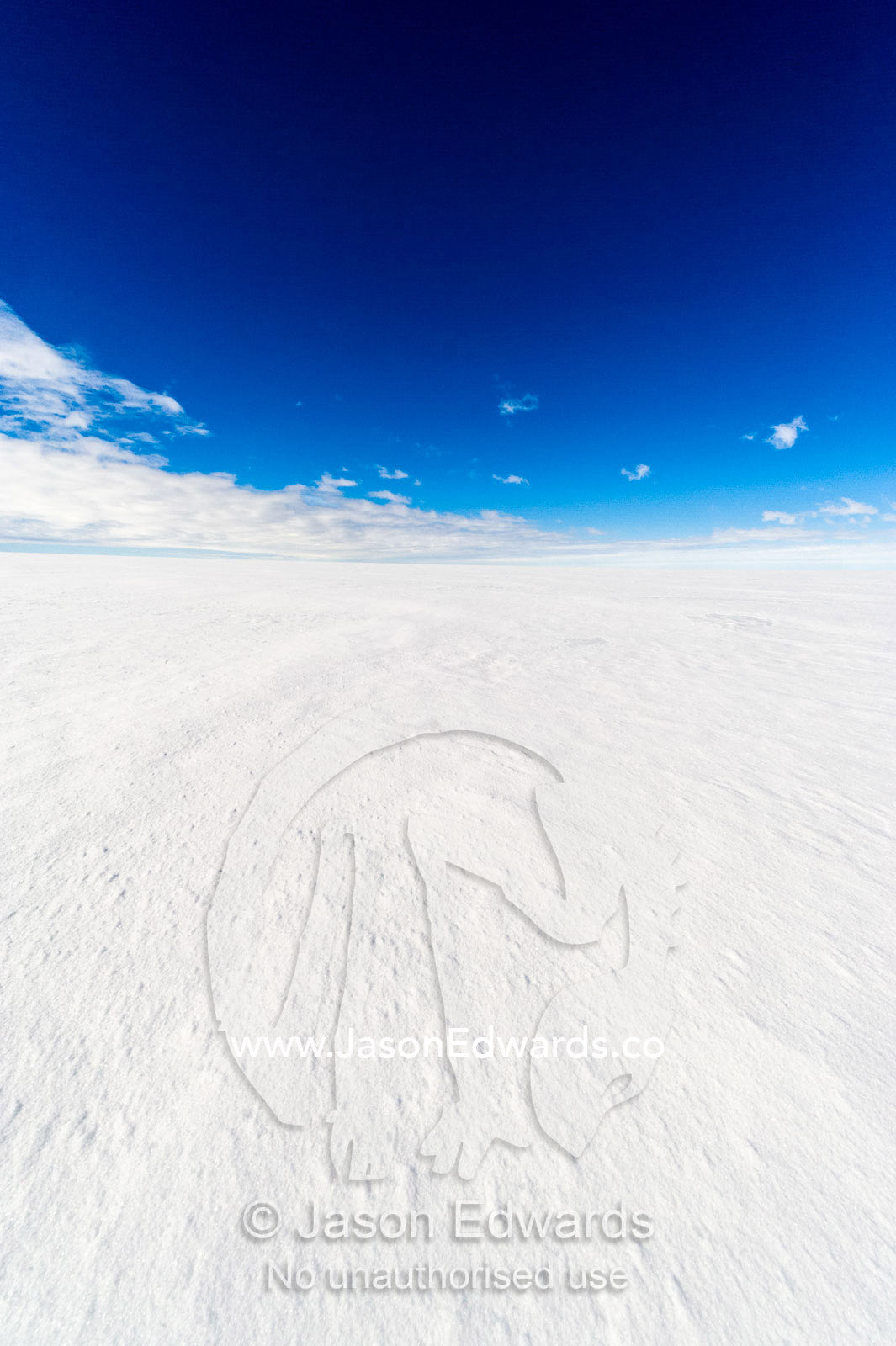 The vast and featureless plain and horizon of the Ross Ice Shelf. Windless Bight, Ross Ice Shelf, Ross Island, Antarctica.