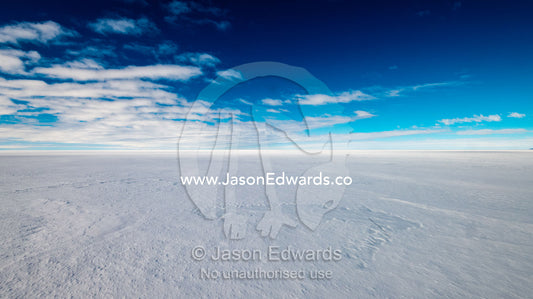 The vast and featureless plain and horizon of the Ross Ice Shelf. Windless Bight, Ross Ice Shelf, Ross Island, Antarctica.