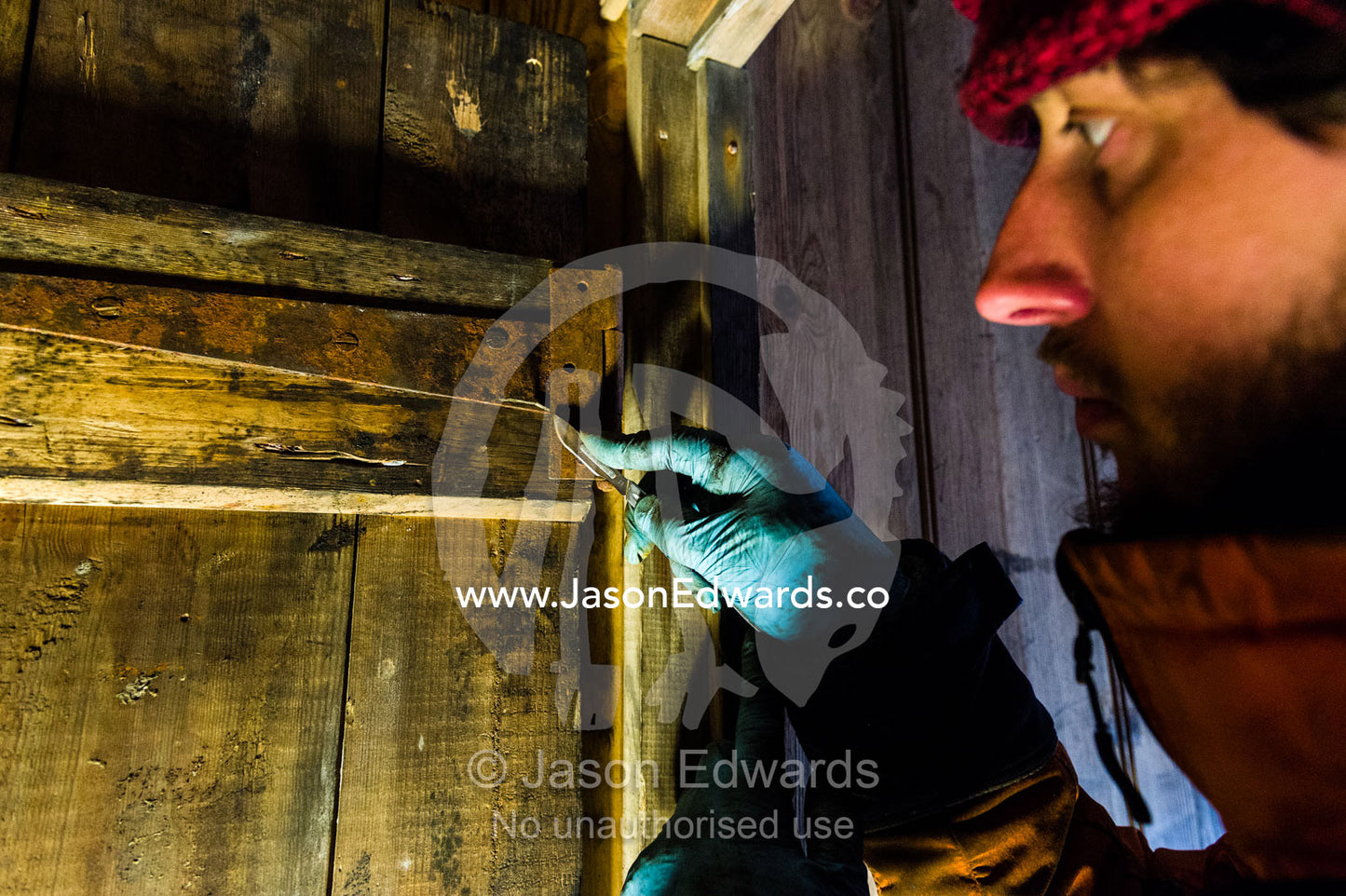 An expert from the Antarctic Heritage Trust working with a small blade to remove rust from a door in Discovery Hut. Discovery Hut, Hut Point, Ross Island, Antarctica.