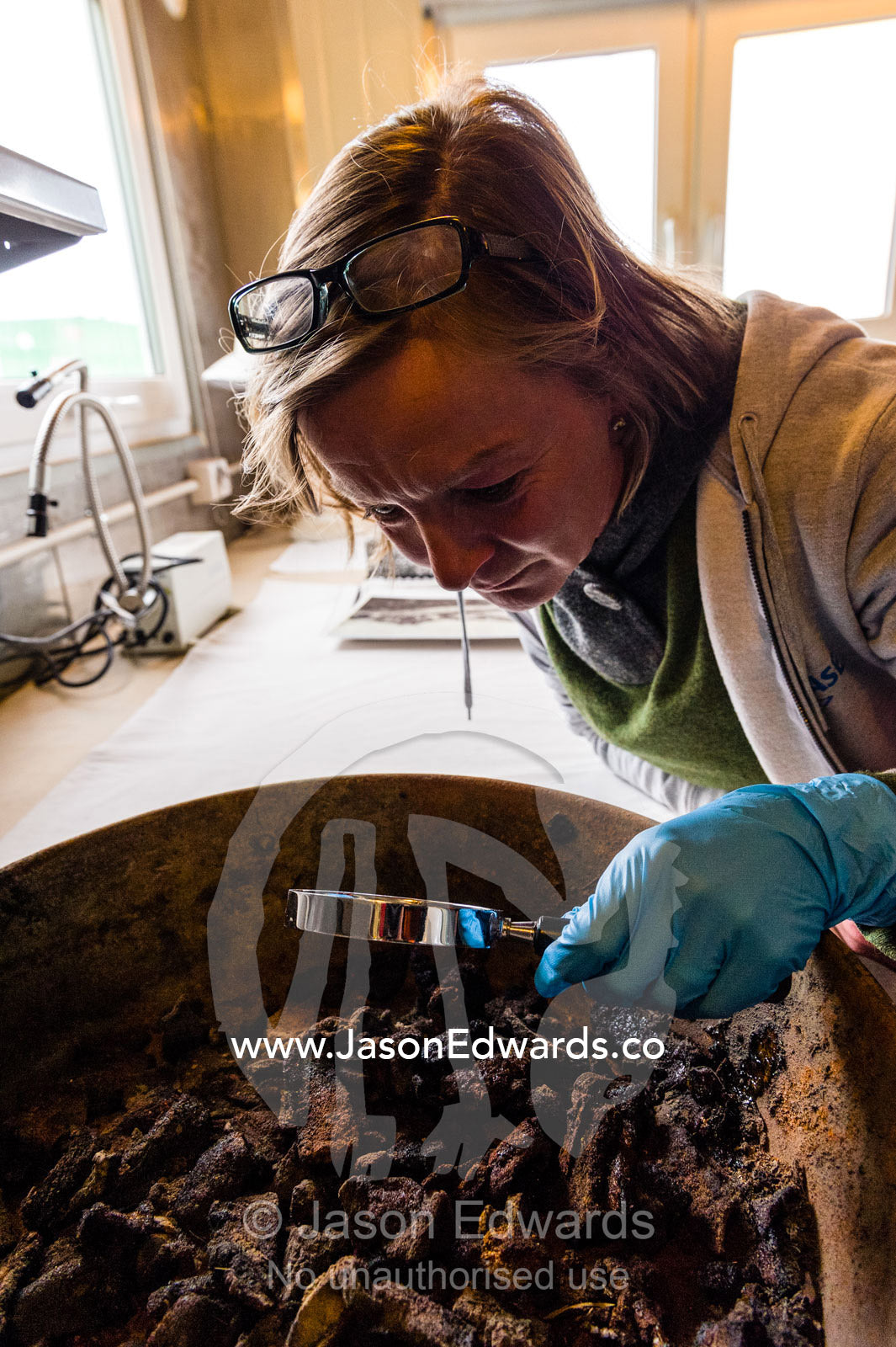 An Antarctic Heritage Trust expert examines seal meat in a frying pan from Discovery Hut with a magnifying glass. Scott Base, Pram Point, Hut Point Peninsula, Ross Island, Antarctica.