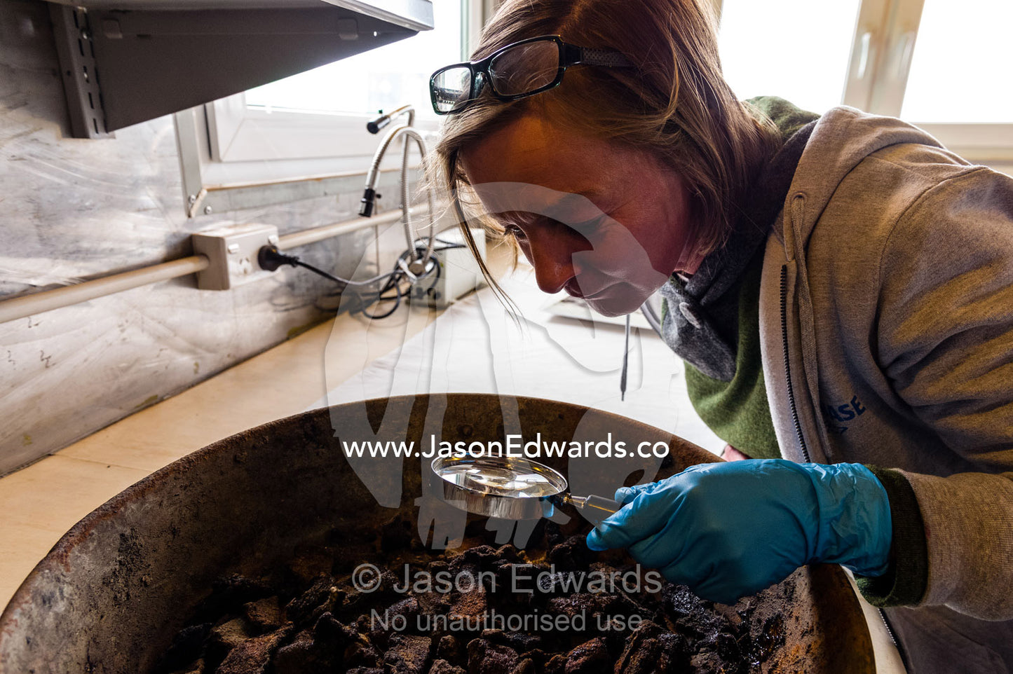 An Antarctic Heritage Trust expert examines seal meat in a frying pan from Discovery Hut with a magnifying glass. Scott Base, Pram Point, Hut Point Peninsula, Ross Island, Antarctica.