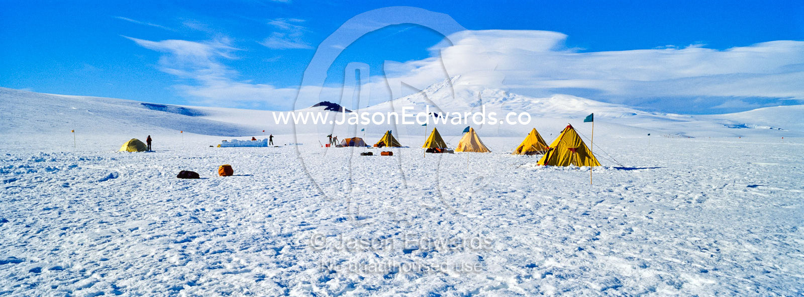 Bright yellow tents lined-up on the Ross Ice Shelf during a survival training course. Windless Bight, Ross Ice Shelf, Ross Island, Antarctica.