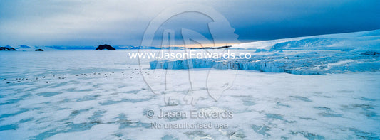 The sheer impregnable ice cliffs of a glacier tower over the frozen sea ice. Lands End, South Bay, Ross Island, Antarctica.