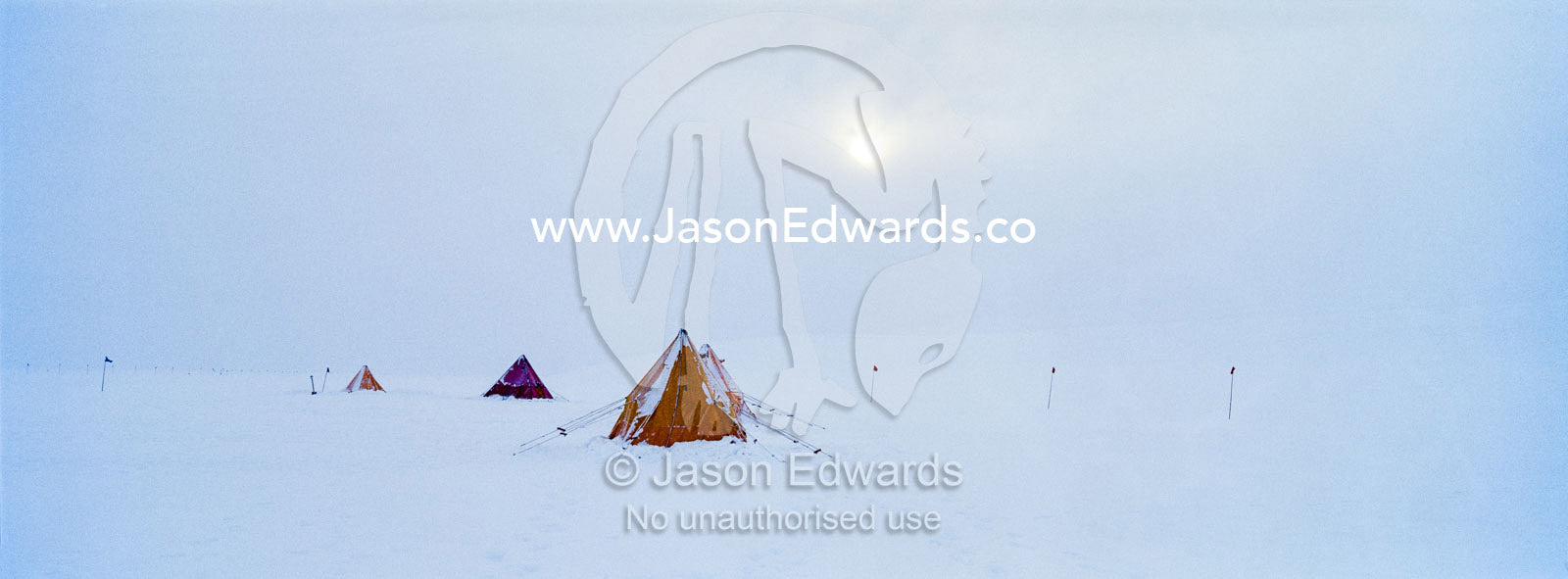 Bright yellow tents lined-up in a blizzard on the Ross Ice Shelf during a survival training course. Windless Bight, Ross Ice Shelf, Ross Island, Antarctica.