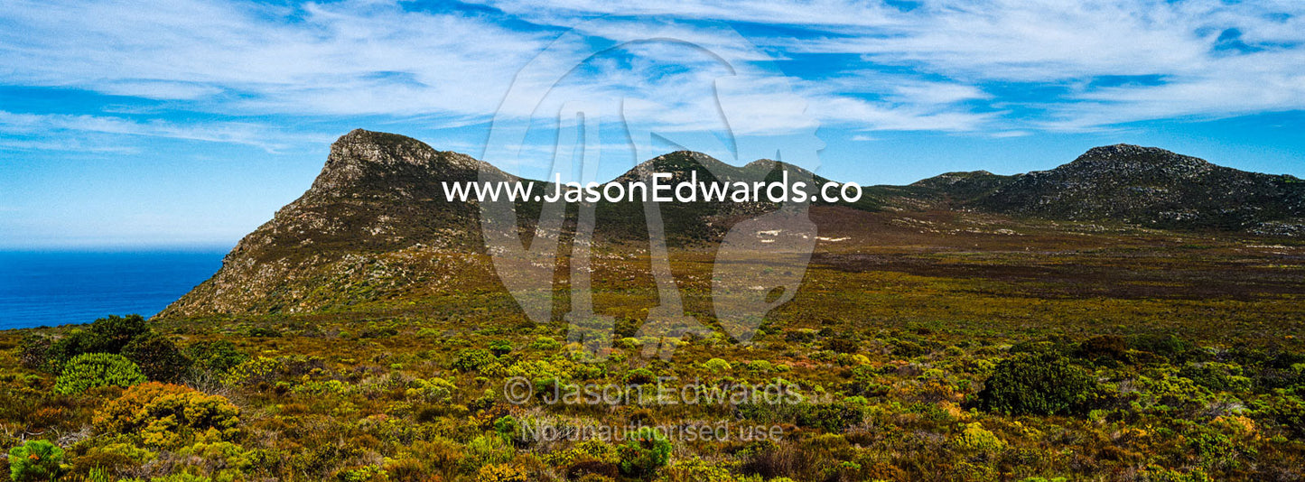A fragile fynbos and restios plain beneath a front of wispy clouds. Cape of Good Hope, Cape Point, Table Mountain National Park, Cape Peninsula, South Africa.