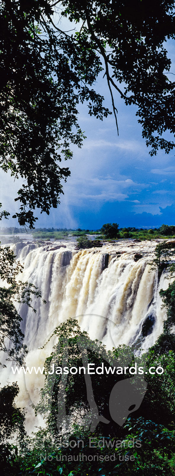 The view of Victoria Falls through a rainforest canopy as it plunges into the cataract. Zambezi River, Victoria Falls, Mosi-oa-Tunya National Park, Zambia.