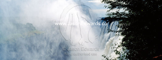 The view of the Victoria Falls cataract and mist plume through a rainforest canopy. Zambezi River, Victoria Falls, Mosi-oa-Tunya National Park, Zambia.