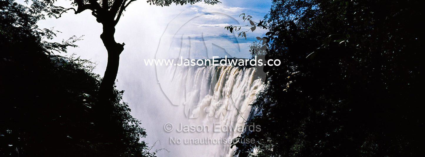 The view of Victoria Falls through a rainforest canopy as it plunges into the cataract. Zambezi River, Victoria Falls, Mosi-oa-Tunya National Park, Zambia.