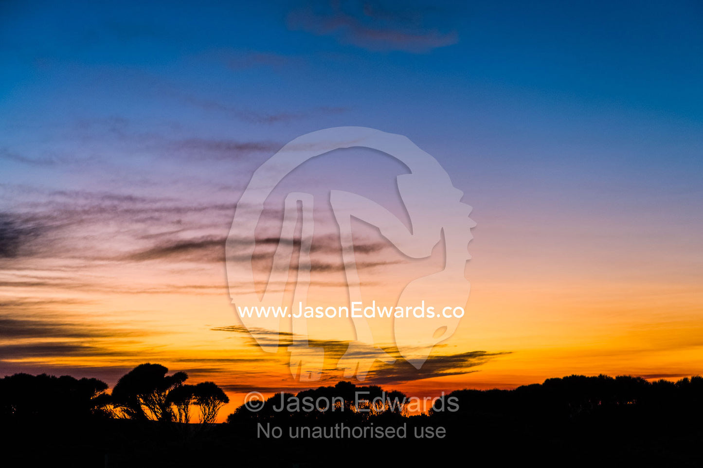 Dawn colours the sky over farmland along a coastline. Twelve Apostles, Port Campbell National, Great Ocean Road, Victoria, Australia.