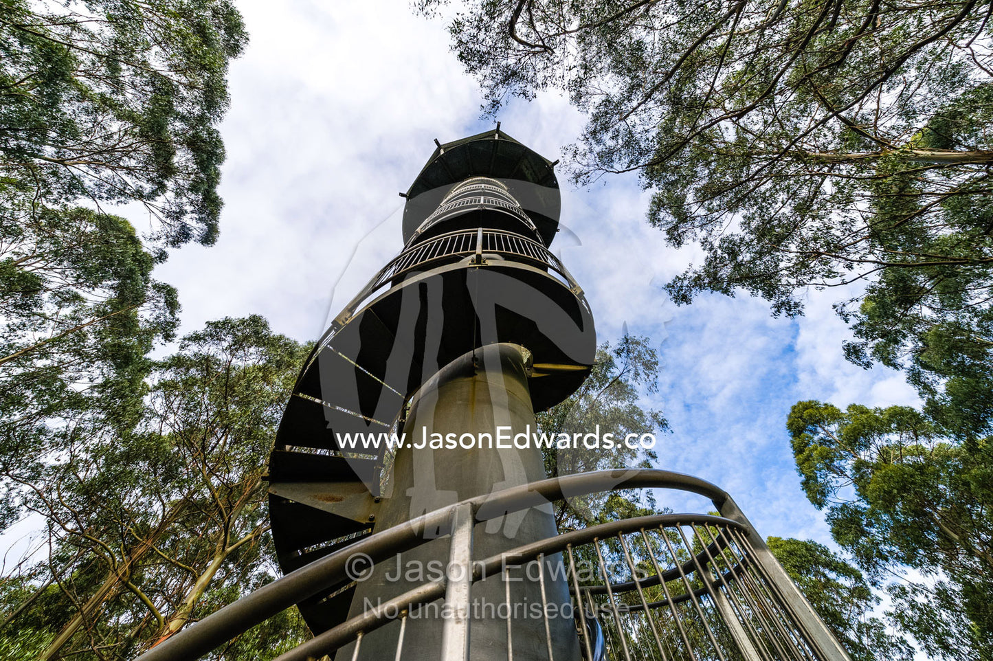 A galvanised steel boardwalk and lookout tower in a forest canopy. Otway Fly Treetop Adventures, Weeaproinah, Victoria, Australia.