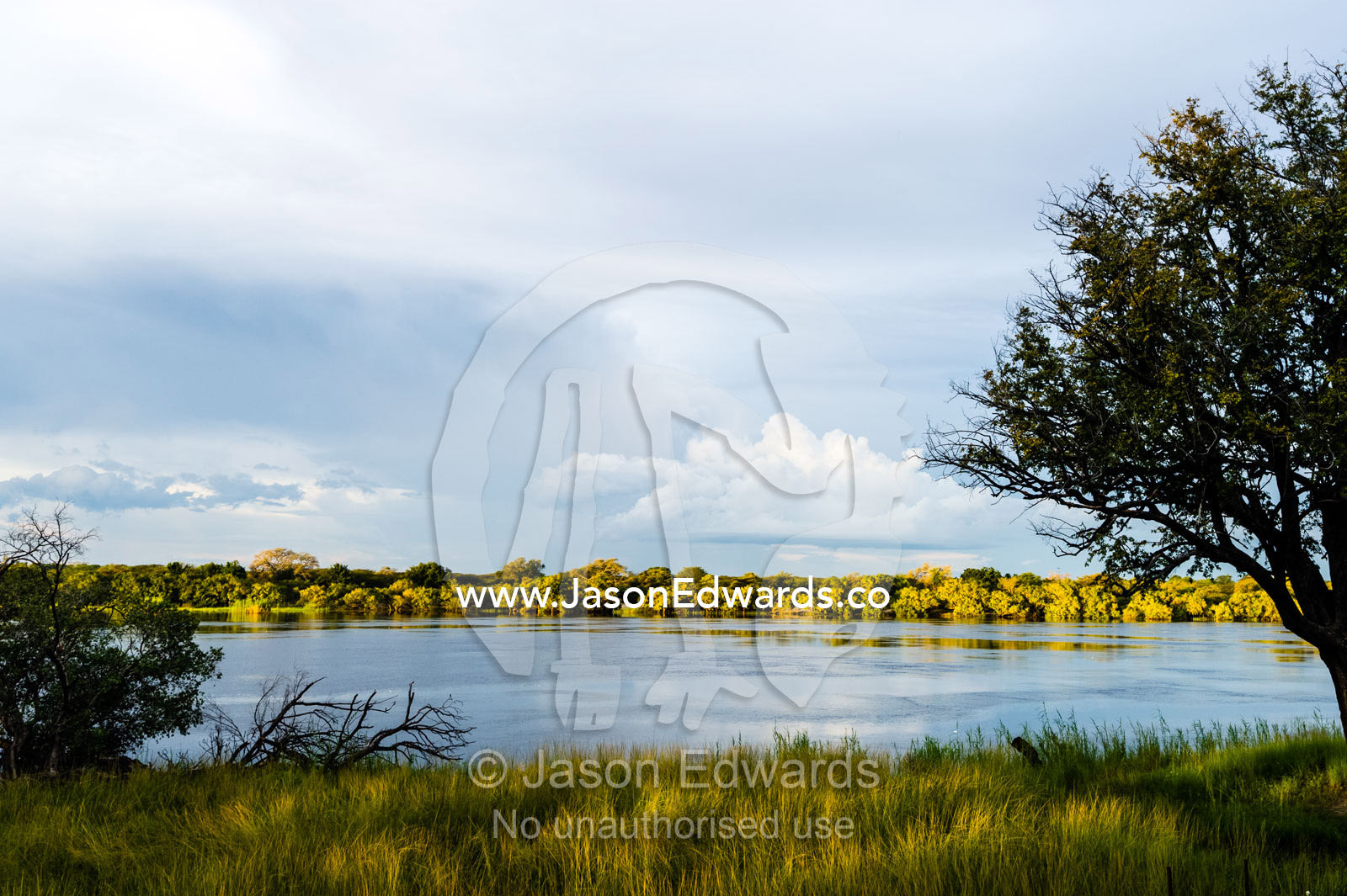 Sunset falls over forest along the Chobe River. Chobe River, Chobe National Park, Botswana.