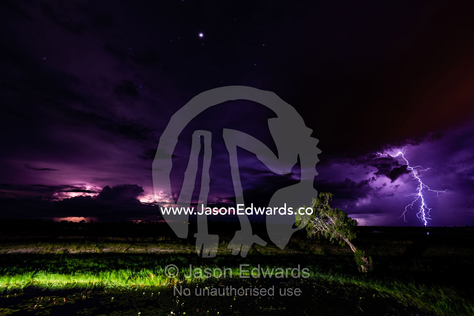 Lightning strikes a floodplain at night beneath a star-filled sky. Chobe River, Chobe National Park, Botswana.