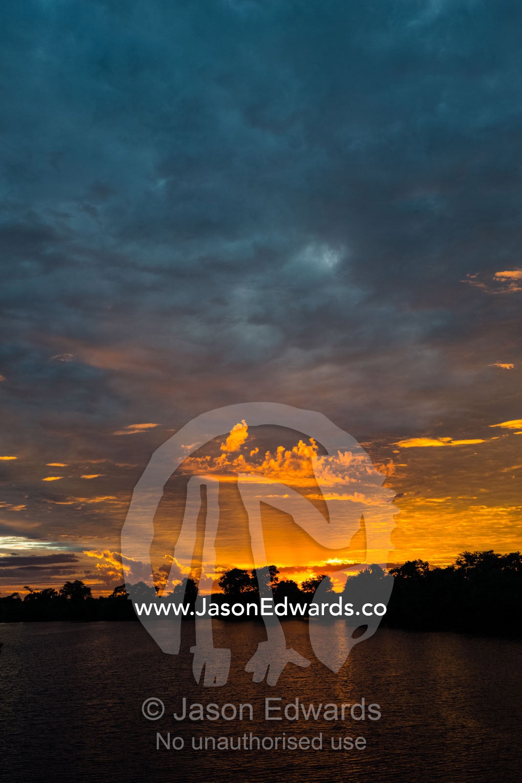 Dawn rises above the silhouette of a forest on a river shore. Chobe River, Chobe National Park, Botswana.
