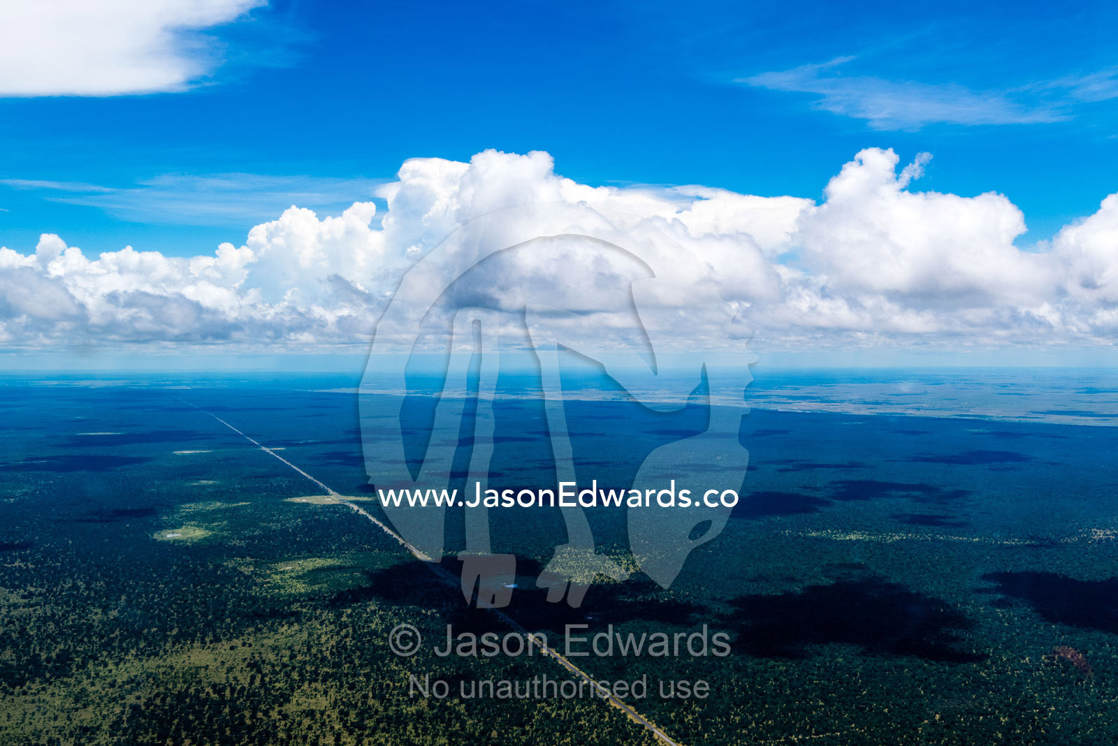 An aerial view of a long straight road running through the African wilderness. Chobe National Park, Botswana.
