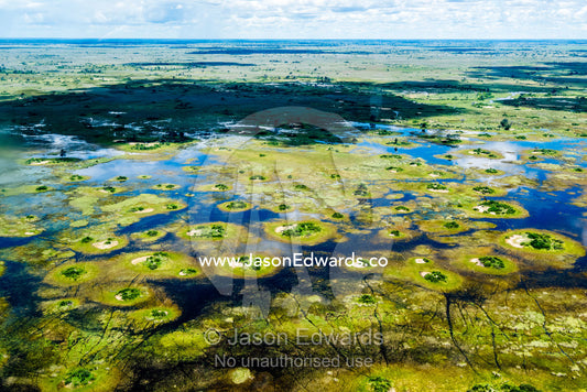 Small islands surrounded by flooded rivers and waterholes on a floodplain. Okavango Delta, Botswana.