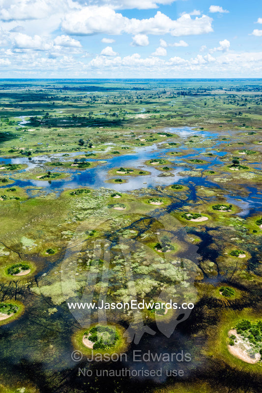 Small islands surrounded by flooded rivers and waterholes on a floodplain. Okavango Delta, Botswana.