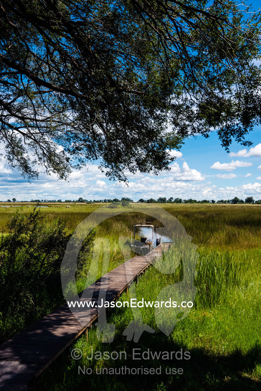 A boardwalk jetty leading to a safari boat in a wetland. Duba Plains Camp, Ngamiland West, Botswana.