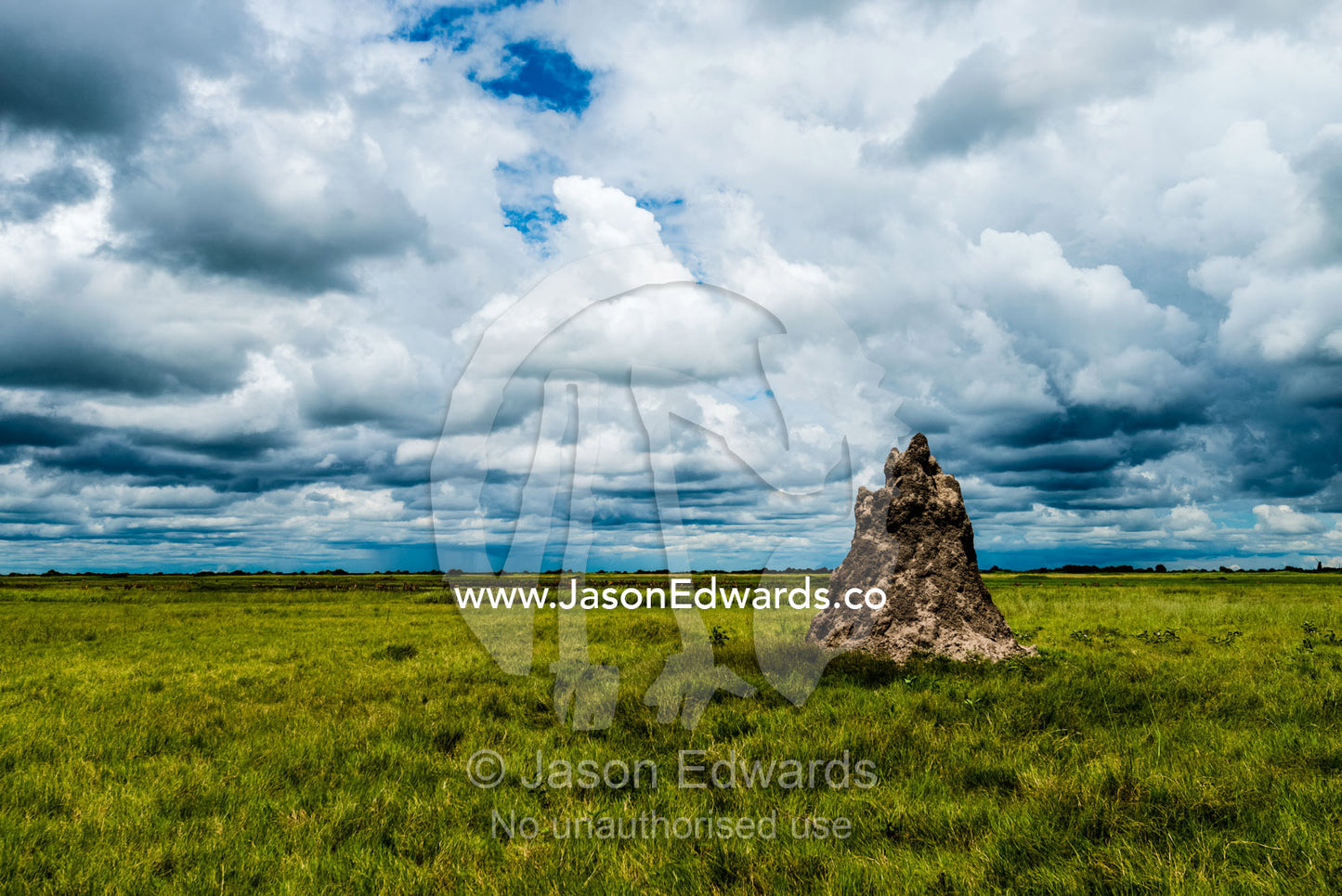 A termite mound rises above a floodplain during the dry season. Duba Plains Camp, Ngamiland West, Botswana.