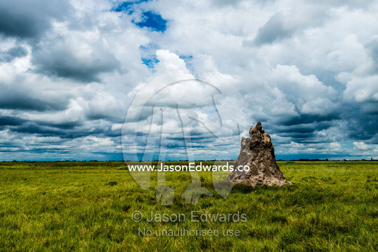 A termite mound rises above a floodplain during the dry season. Duba Plains Camp, Ngamiland West, Botswana.
