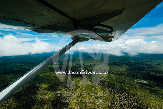 An aerial view of waterholes and rivers in a floodplain from a plane wing. Zarafa Camp, Zibadianja Lagoon, Savute Channel, Linyanti, Botswana.