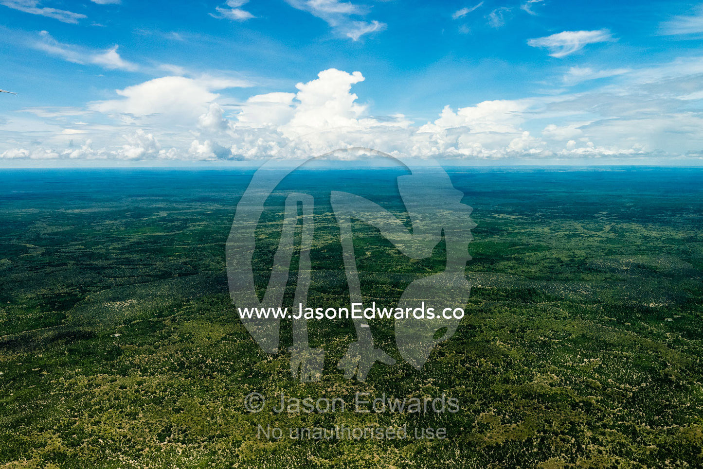 An aerial view of a vast African plain. Zarafa Camp, Zibadianja Lagoon, Savute Channel, Linyanti, Botswana.