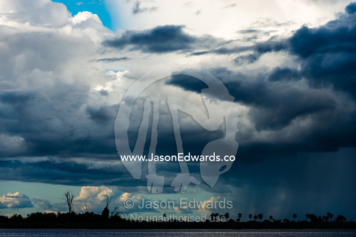 A wet season rain storm descends over a wetland horizon. Zarafa Camp, Zibadianja Lagoon, Savute Channel, Linyanti, Botswana.