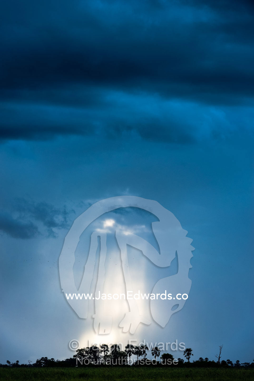 The silhouette of African Fan Palms beneath god rays piercing a storm cloud. Zarafa Camp, Zibadianja Lagoon, Savute Channel, Linyanti, Botswana.