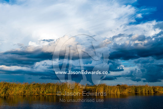 A wet season storm rolls in over wetland reeds at sunset. Selinda Spillway, Selinda Reserve, Linyanti Region, Northern Botswana.