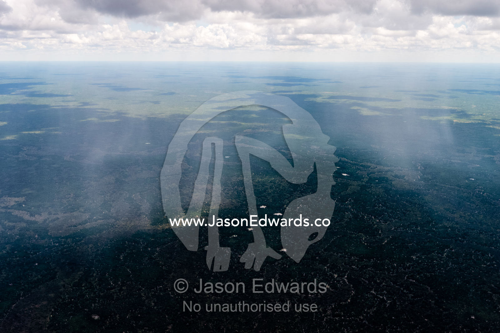 Sheets of rain fall from clouds across a vast woodland savannah. Okavango Delta, Botswana.