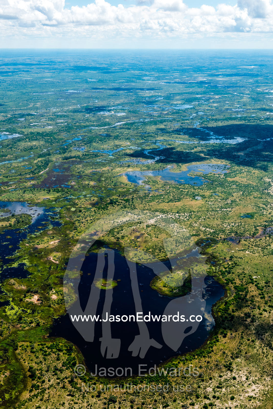 Wetlands and rivers wash across a vast floodplain. Okavango Delta, Botswana.