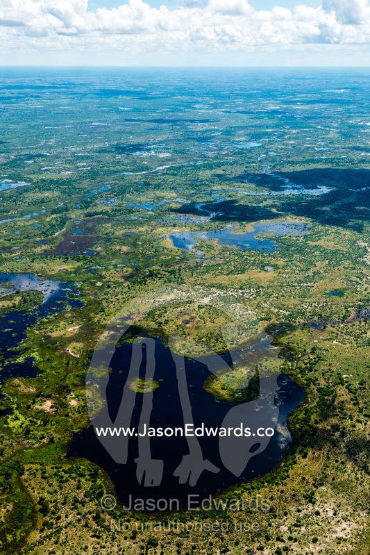 Wetlands and rivers wash across a vast floodplain. Okavango Delta, Botswana.