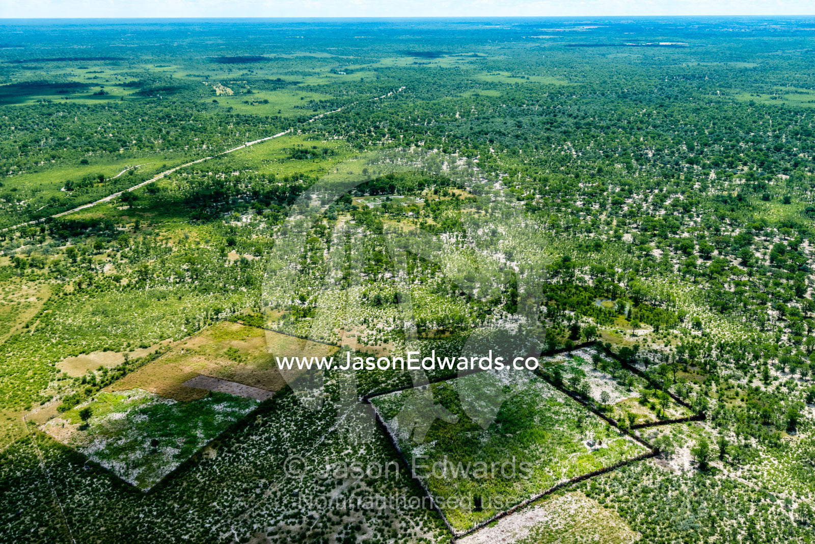 Fenced plots of farmland on a vast African plain. Maun, Botswana.
