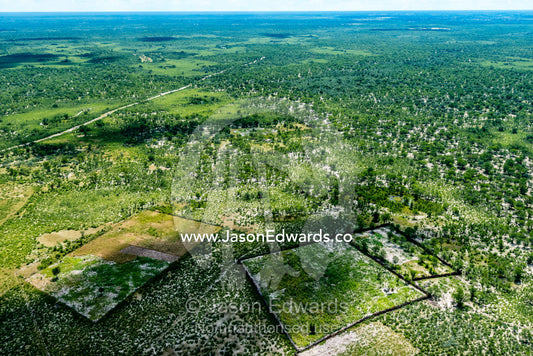 Fenced plots of farmland on a vast African plain. Maun, Botswana.