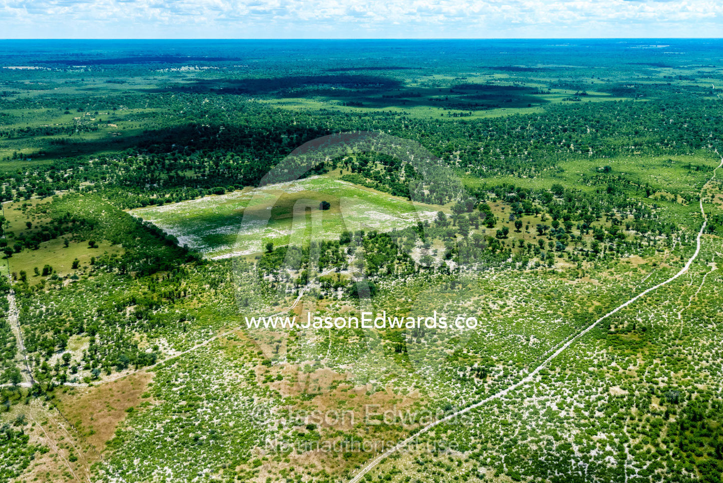 Fenced plots of farmland on a vast African plain. Maun, Botswana.