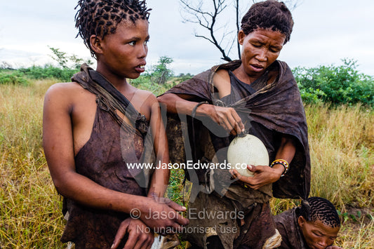A San Bushmen woman place a grass stopper into an ostrich egg to carry water. Kalahari Desert, Botswana.