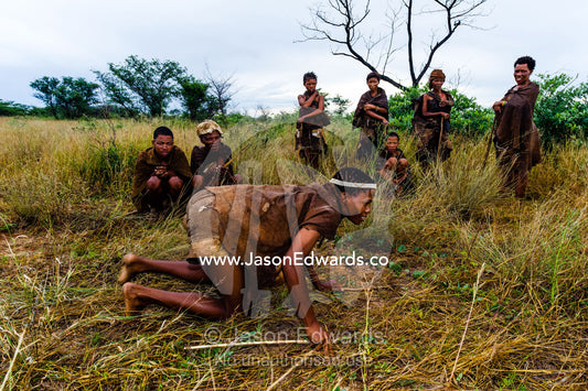 A San Bushmen demonstrates hunting for antelope in the grass. Kalahari Desert, Botswana.
