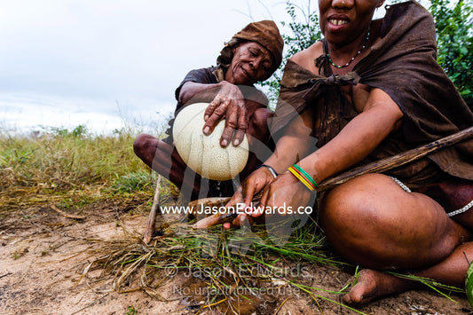 A San Bushmen woman pours water from an Ostrich egg to wash a spear tip. Kalahari Desert, Botswana.