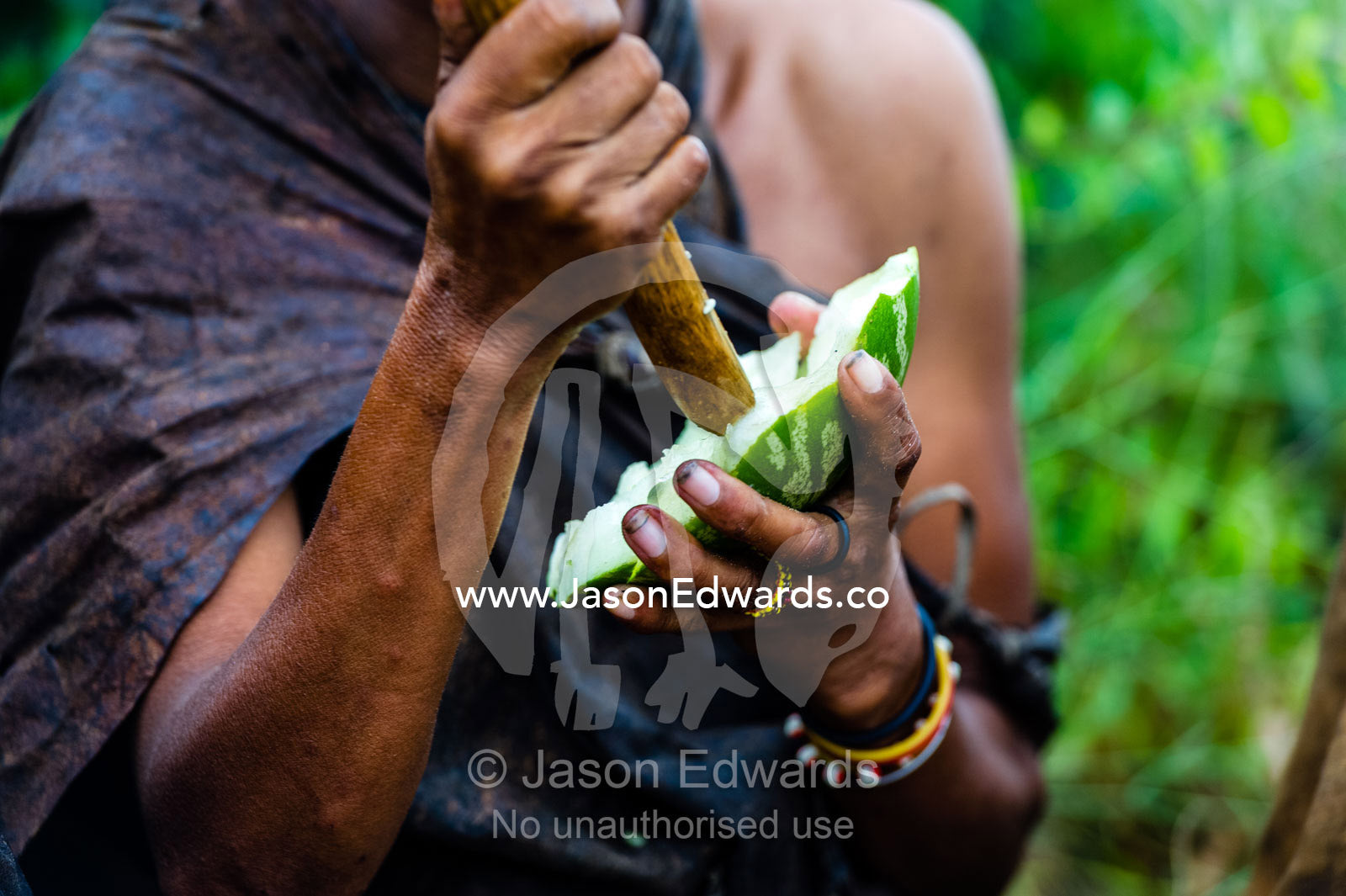 A San Bushmen woman digging flesh from a citron melon with a stick to eat. Kalahari Desert, Botswana.