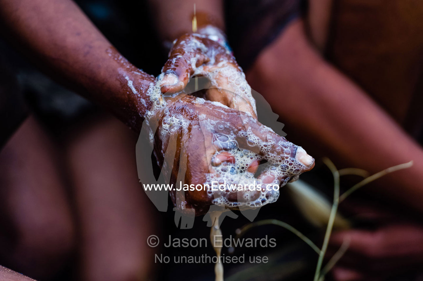 A San Bushmen woman using the pulp from a tuber root to make soap for washing her hands and face. Kalahari Desert, Botswana.