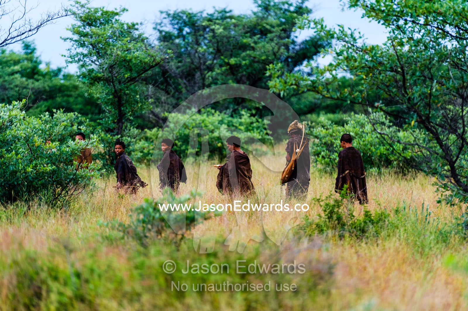 A family of San Bushmen walking through the Kalahari Desert. Kalahari Desert, Botswana.