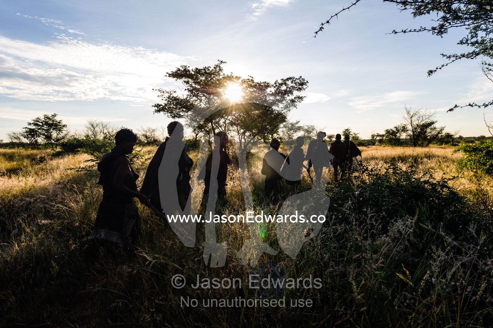 A family of San Bushmen walking through a grassland at dawn to hunt for breakfast. Kalahari Desert, Botswana.