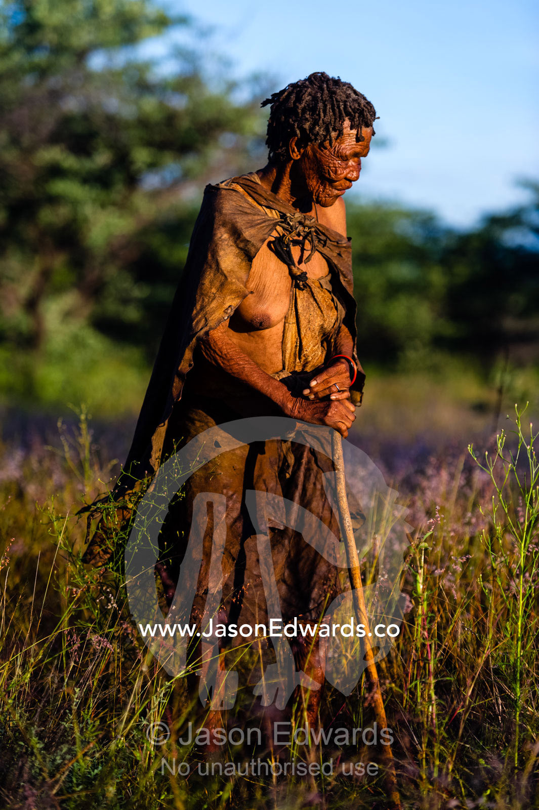 An elderly San Bushmen woman elder wearing leather animal skins with a walking stick. Kalahari Desert, Botswana.