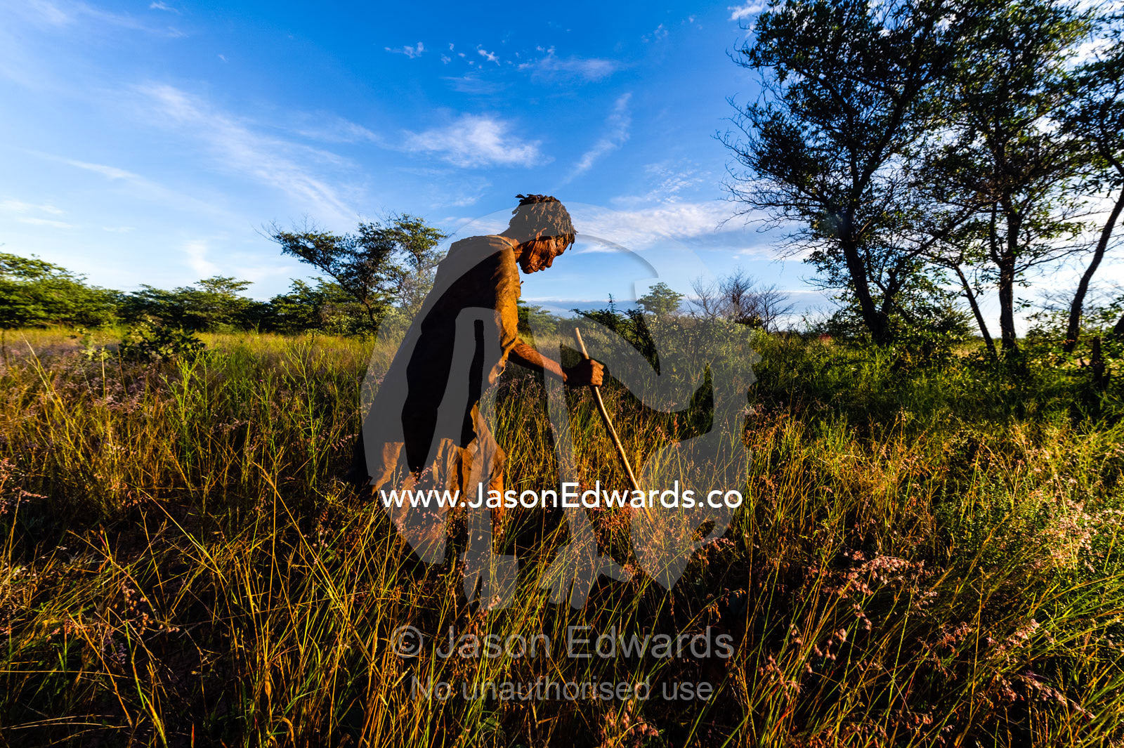 An elderly San Bushmen woman elder wearing leather animal skins with a walking stick. Kalahari Desert, Botswana.
