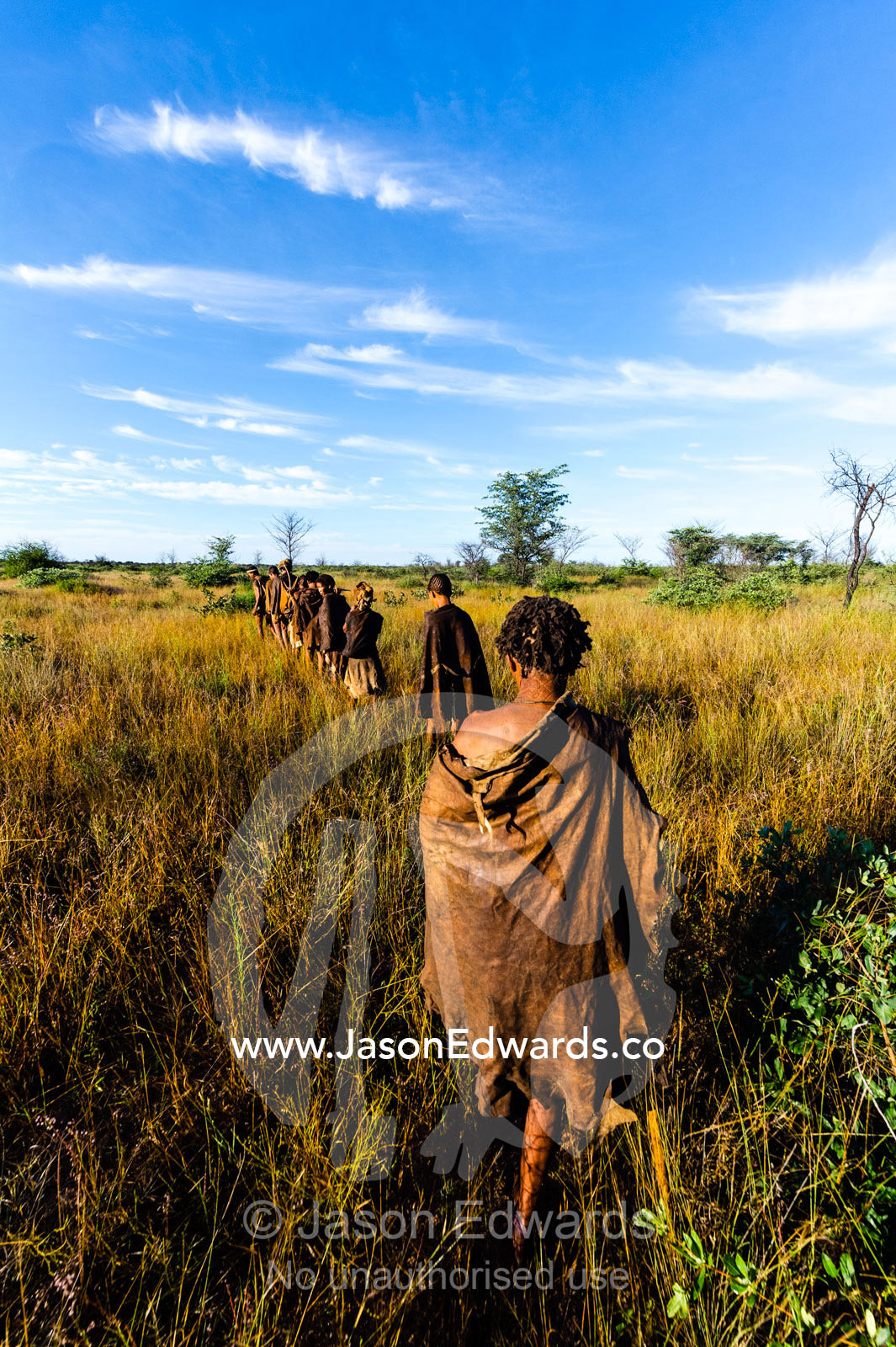 A family of San Bushmen in leather animal skins walking through a grassland at dawn to hunt for breakfast. Kalahari Desert, Botswana.